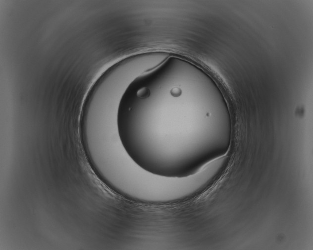 X0000090920932200708271021