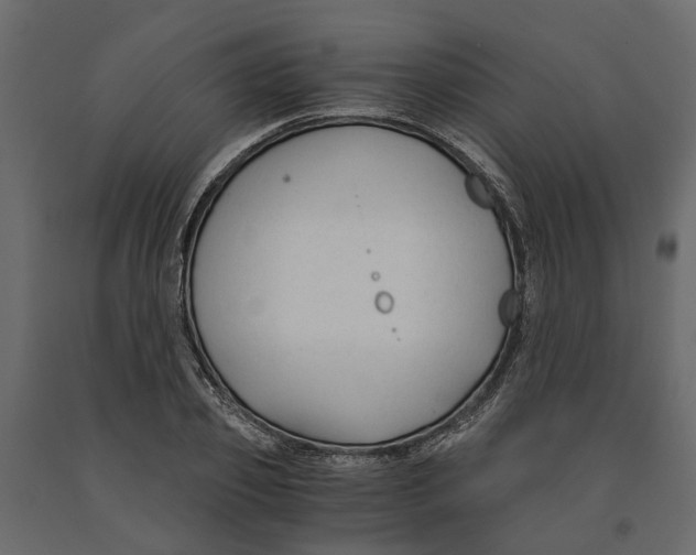 X0000090920933200708271022