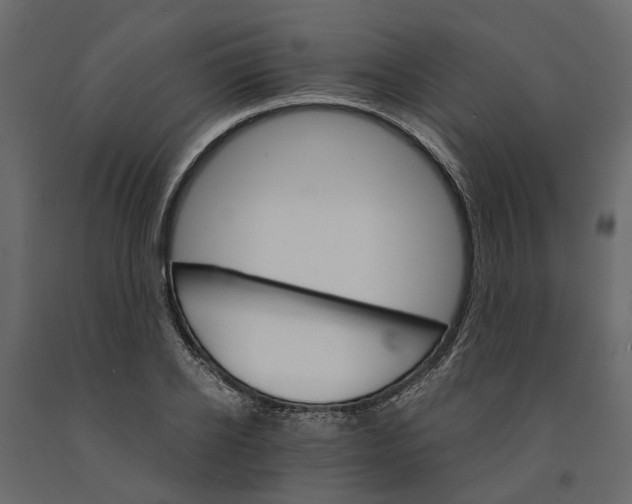 X0000090920934200708271022