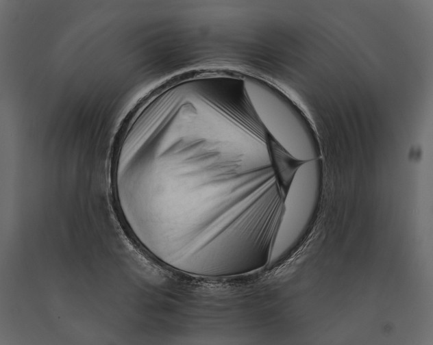 X0000090920935200708271022