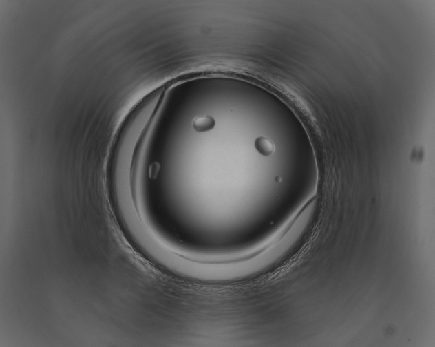 X0000090920936200708271022