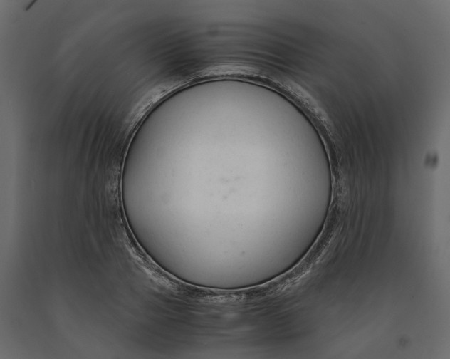 X0000090920937200708271022