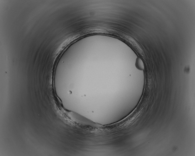 X0000090920938200708271022