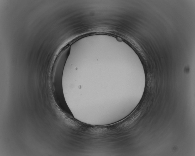 X0000090920939200708271022