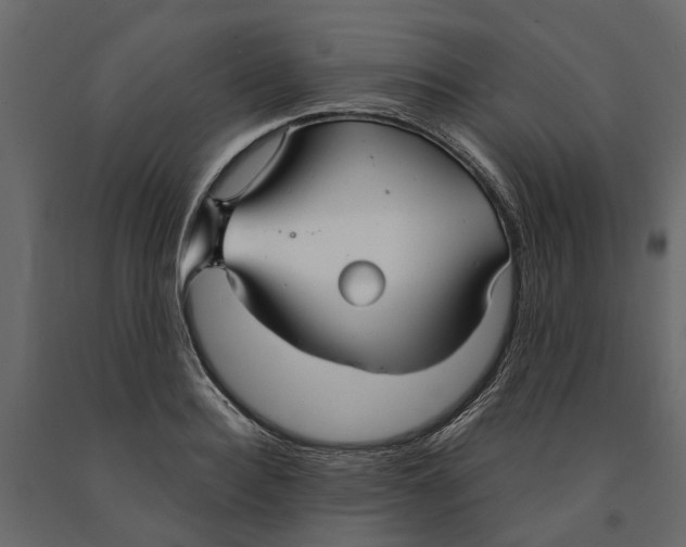 X0000090920940200708271022