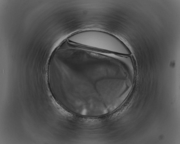 X0000090920941200708271022