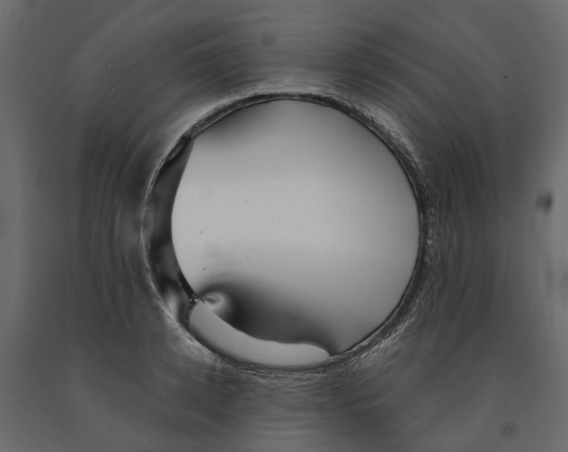 X0000090920942200708271022