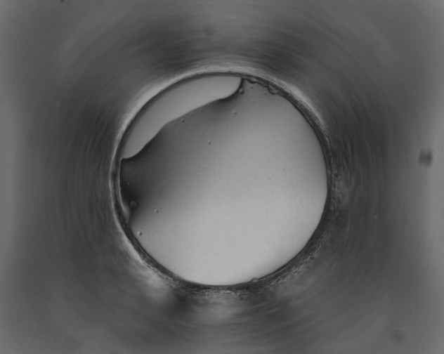 X0000090920943200708271022