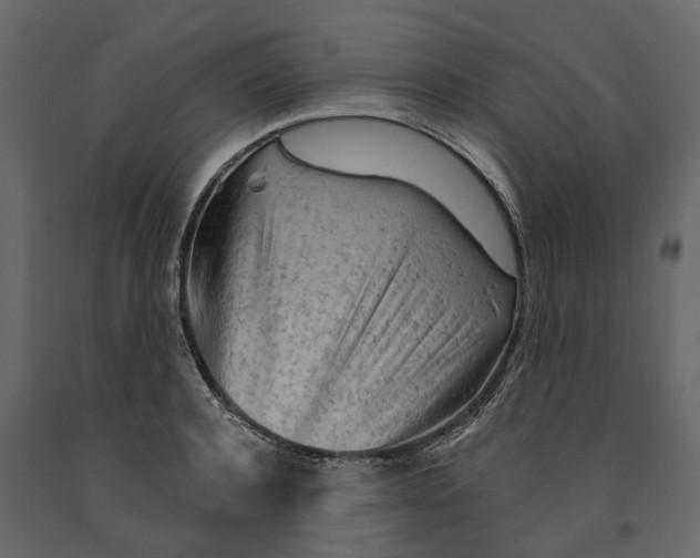 X0000090920944200708271022