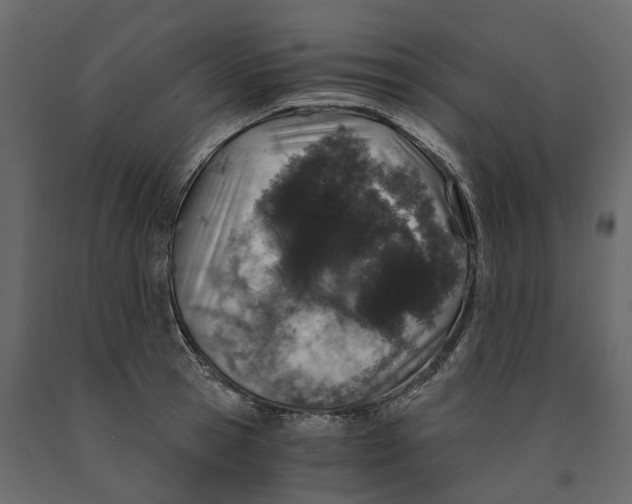 X0000090920945200708271022