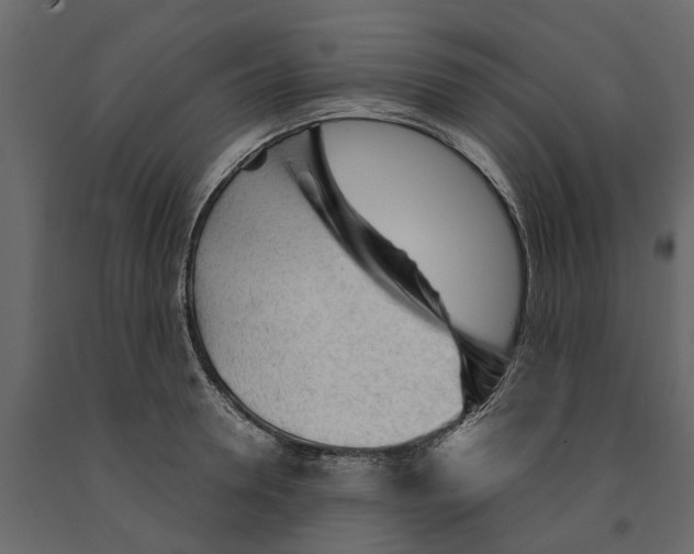 X0000090920946200708271022