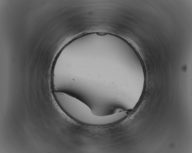 X0000090920949200708271022