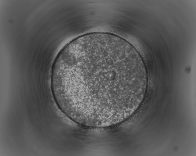 X0000090920950200708271022