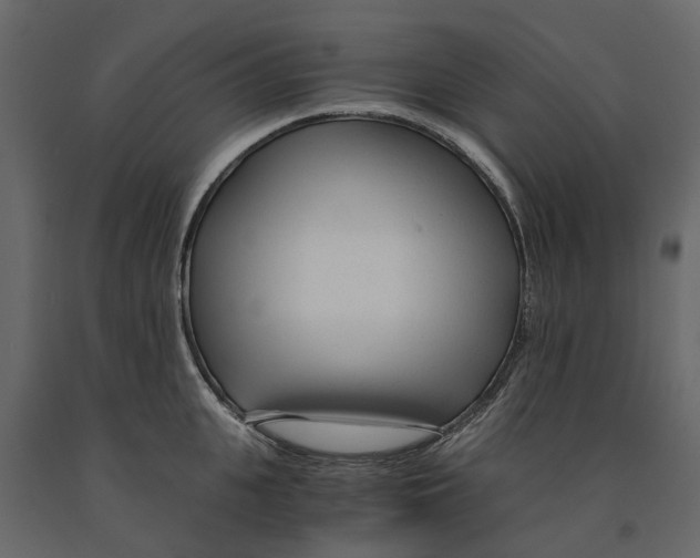 X0000090920951200708271022