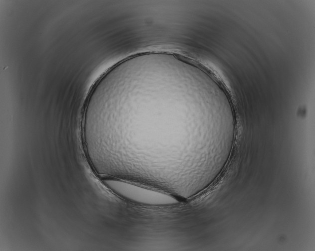 X0000090920952200708271022