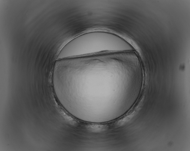 X0000090920953200708271022