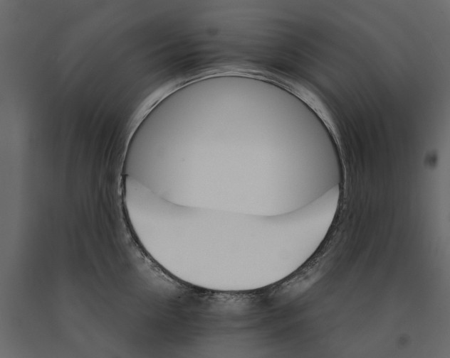 X0000090920954200708271022