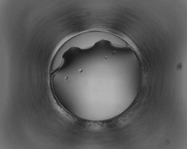 X0000090920955200708271022