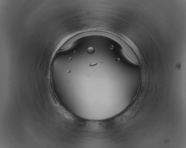 X0000090920956200708271022