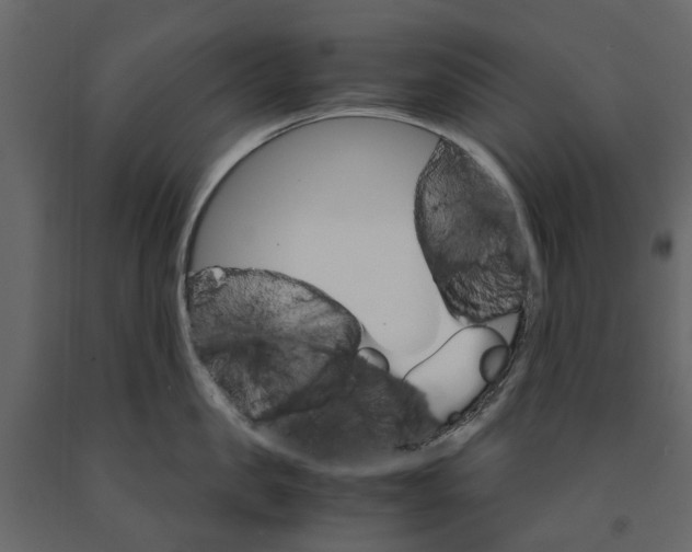 X0000090920957200708271022