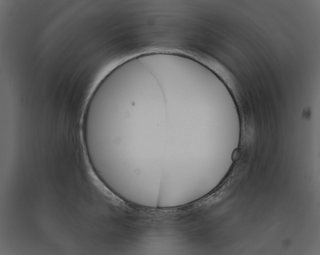 X0000090920958200708271022