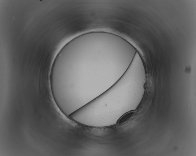 X0000090920959200708271022