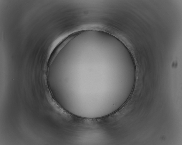 X0000090920960200708271022