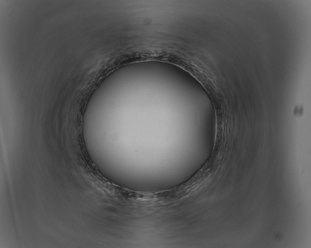 X0000090920961200708271021