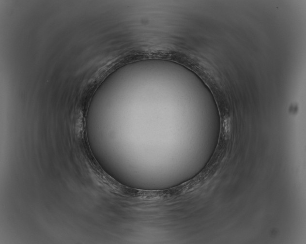 X0000090920963200708271021