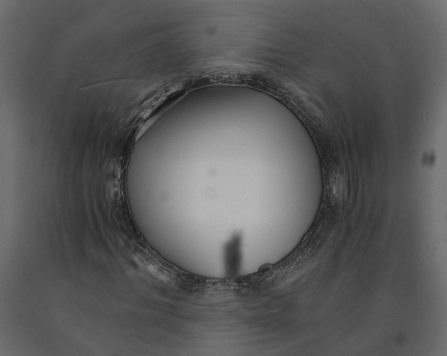 X0000090920964200708271021