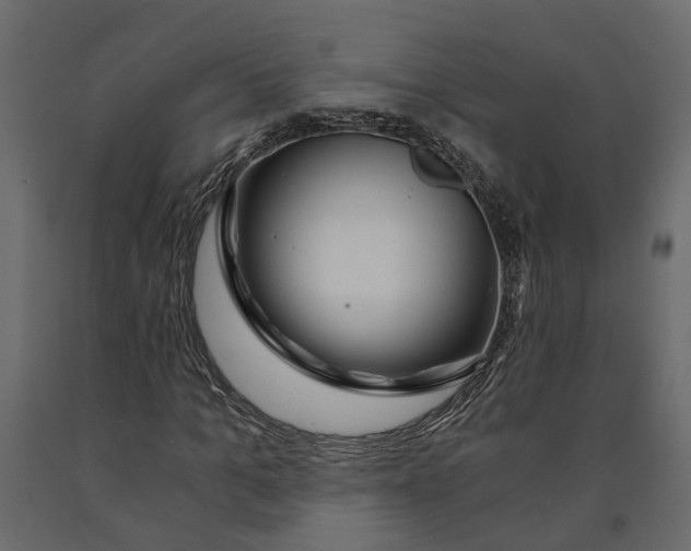 X0000090920965200708271021