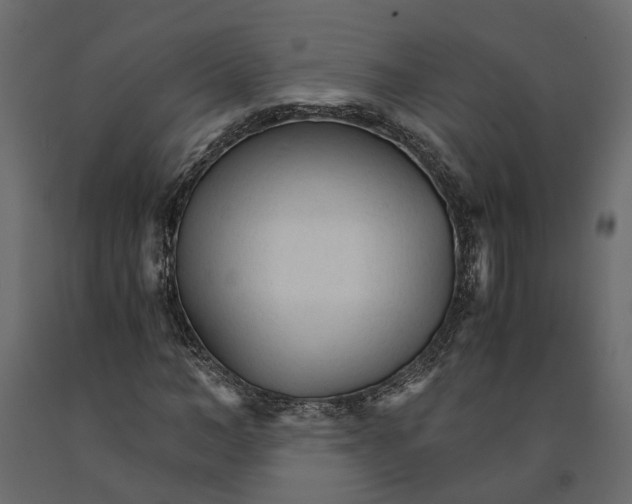 X0000090920966200708271021