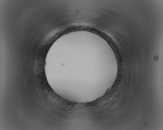 X0000090920967200708271021