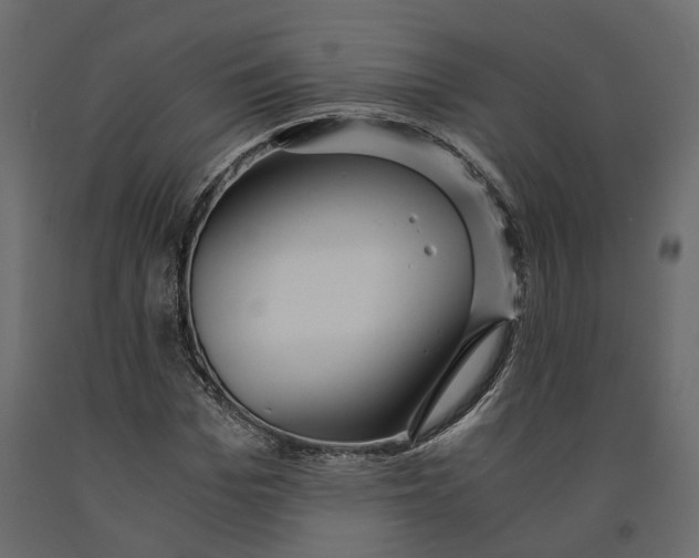 X0000090920969200708271021