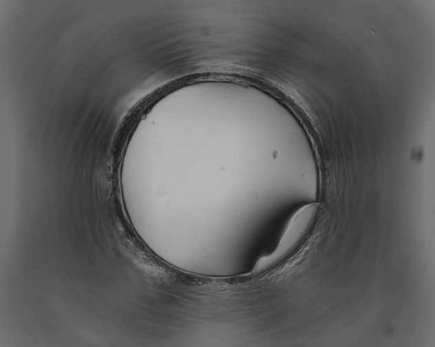 X0000090920971200708271021