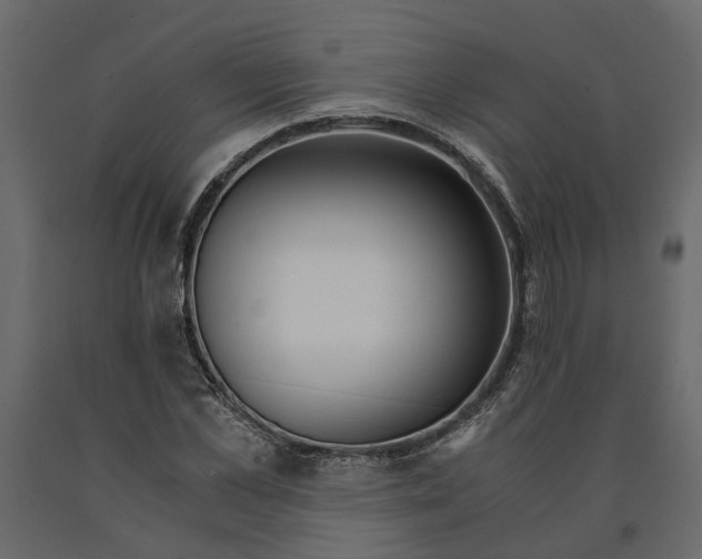 X0000090920973200708271021