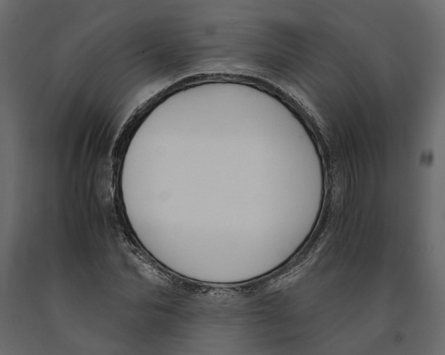 X0000090920974200708271021