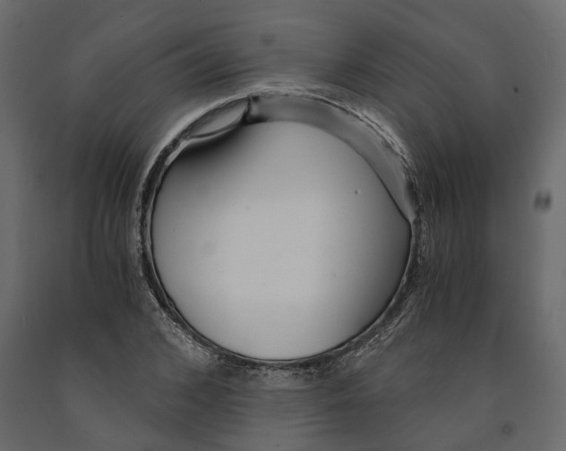 X0000090920976200708271021