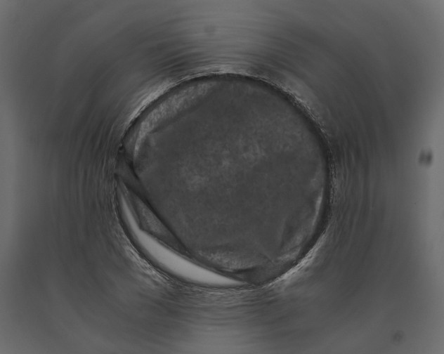 X0000090920977200708271021