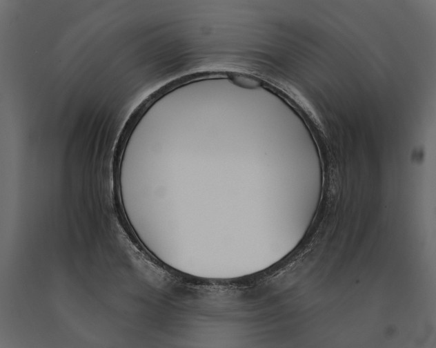 X0000090920980200708271021