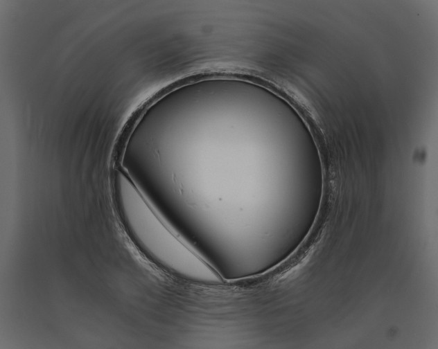 X0000090920981200708271021