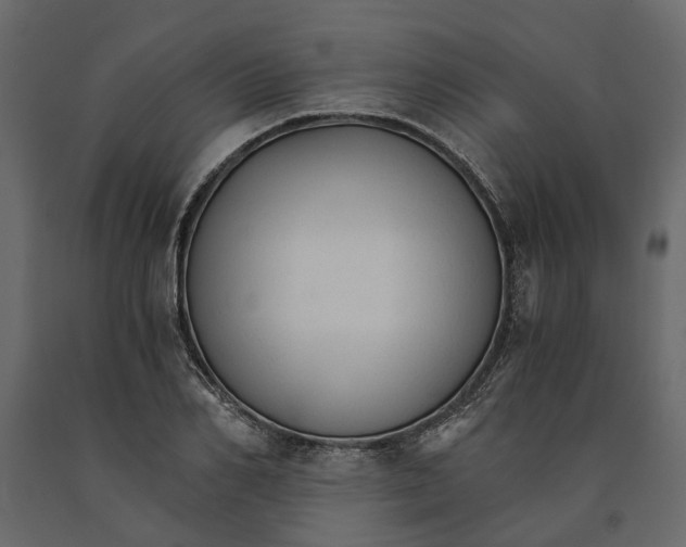 X0000090920982200708271021