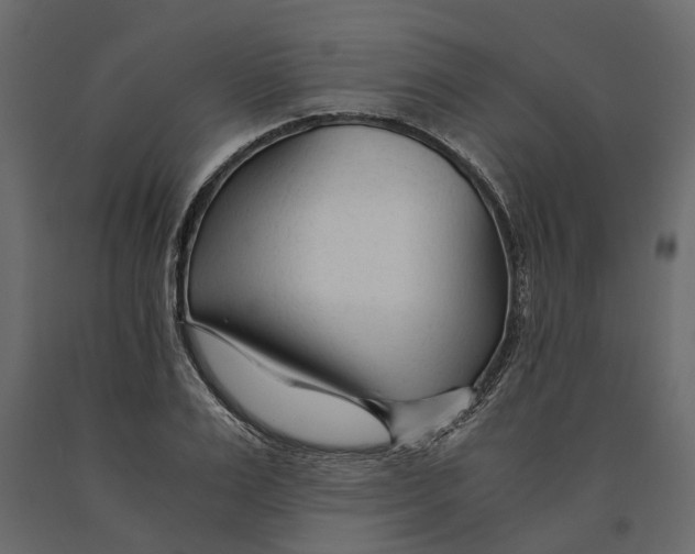 X0000090920983200708271021