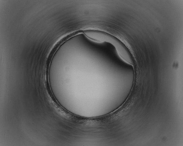 X0000090920984200708271021