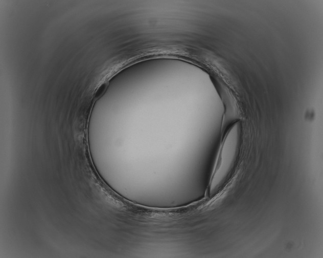 X0000090920985200708271021