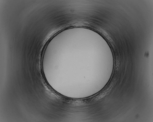 X0000090920986200708271021