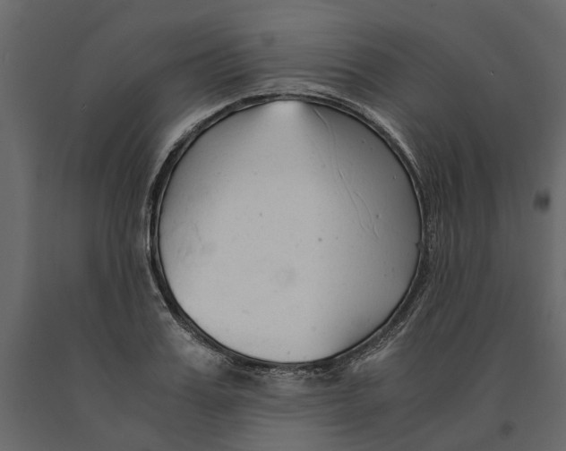 X0000090920987200708271021