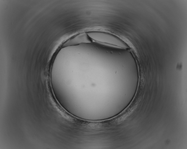 X0000090920989200708271021