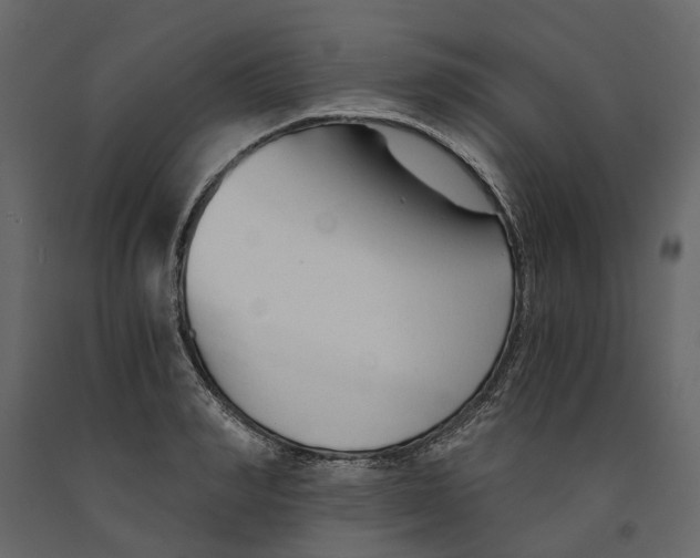 X0000090920990200708271021