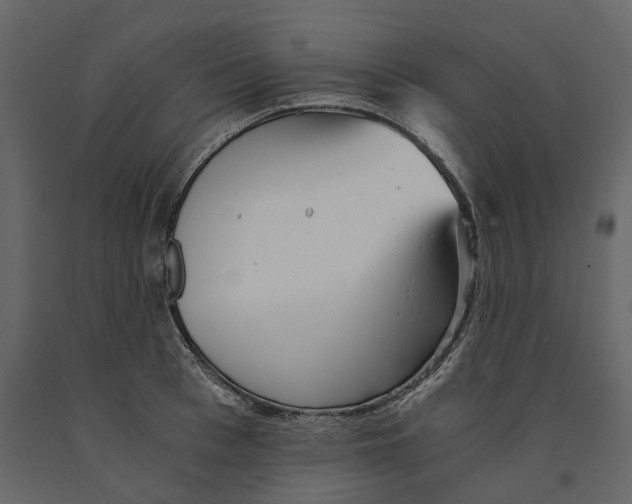 X0000090920993200708271021